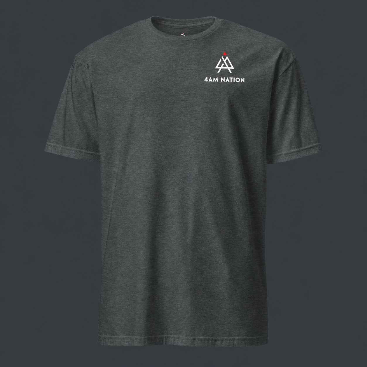Gray t-shirt with '4 AM NATION' logo on the chest against a dark background