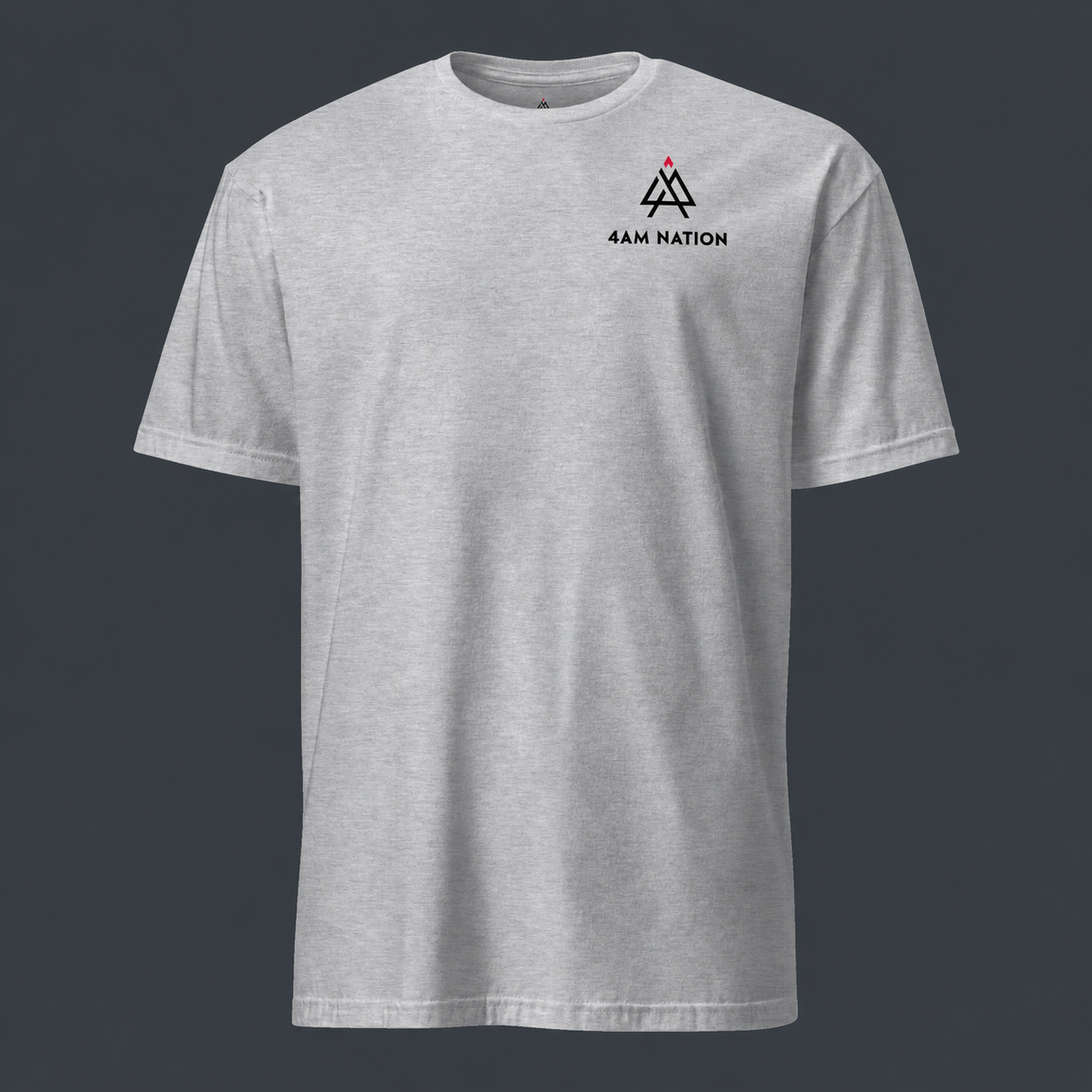 Gray t-shirt with '4 AM NATION' logo and text on a dark background