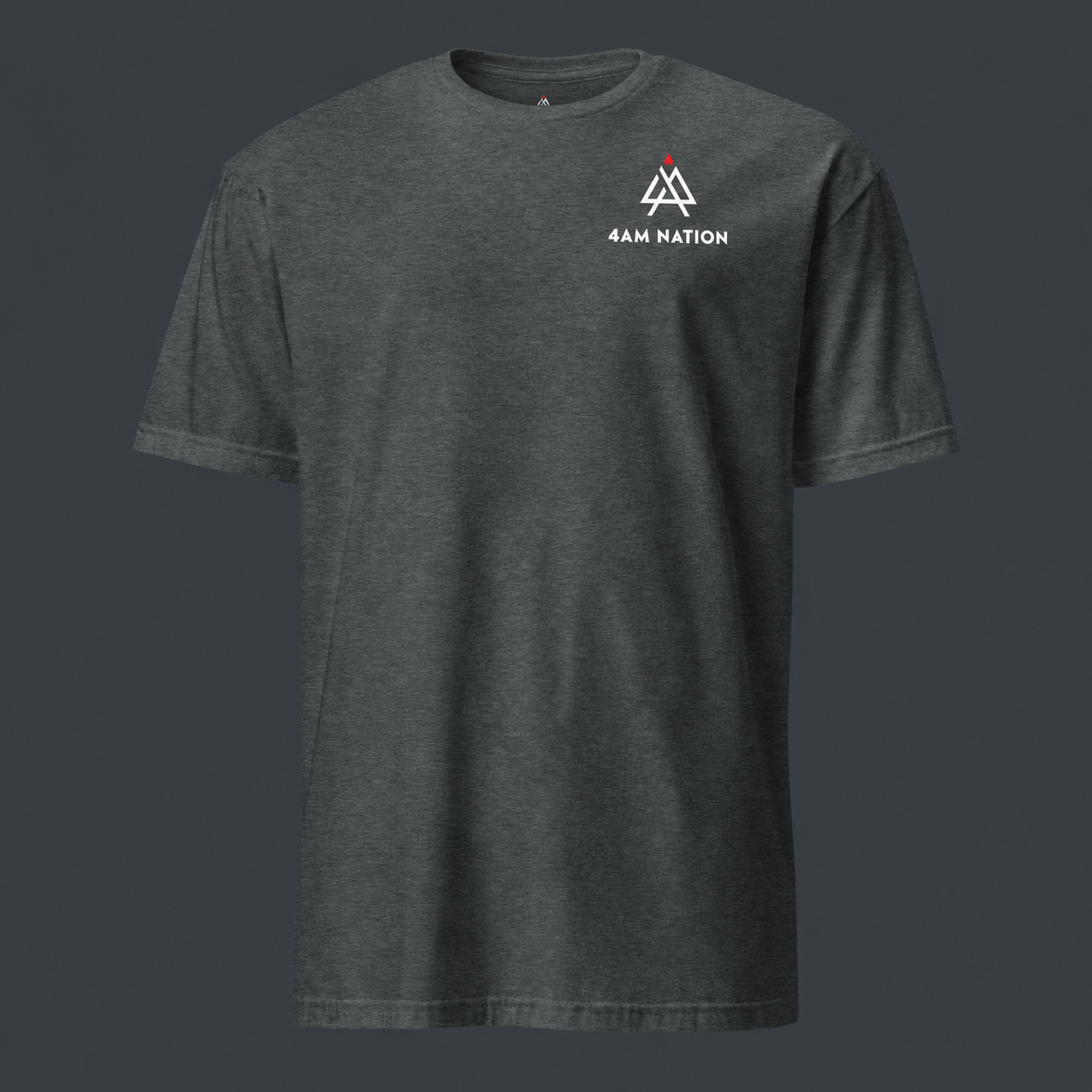 Dark heather gray t-shirt with a '4 AM NATION' logo on the chest against a dark background 