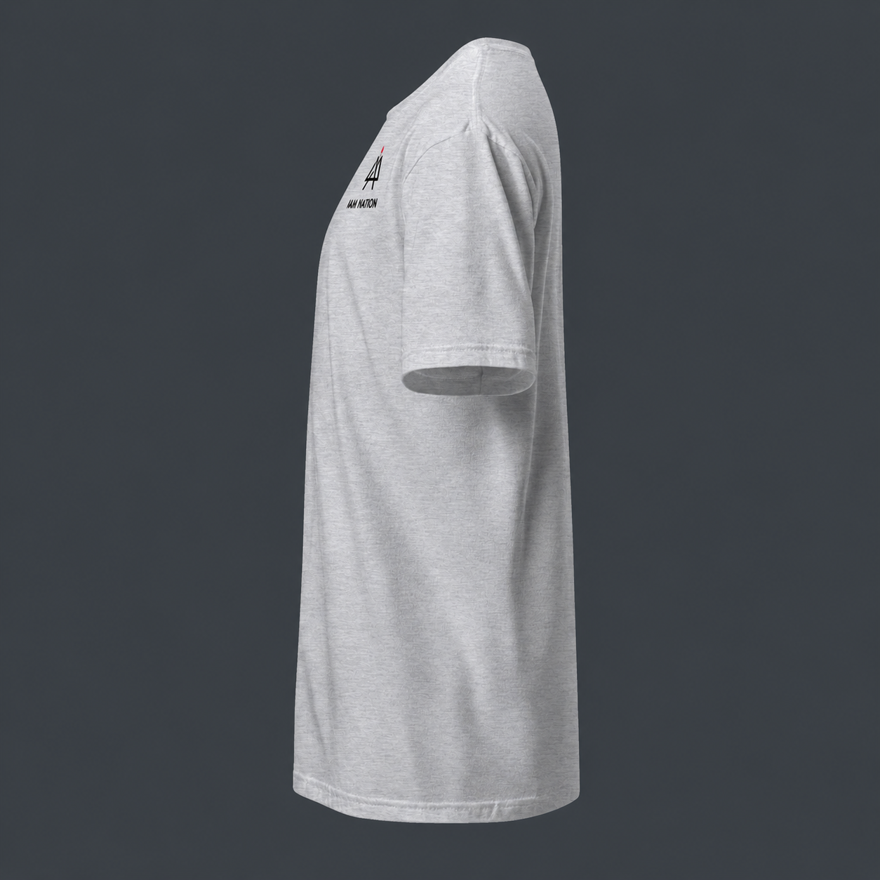 Gray t-shirt with '4 AM NATION' logo on a dark gray background