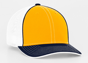 GOLD AND NAVY